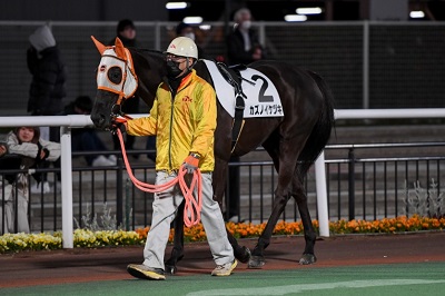 カズノイケヅキ号