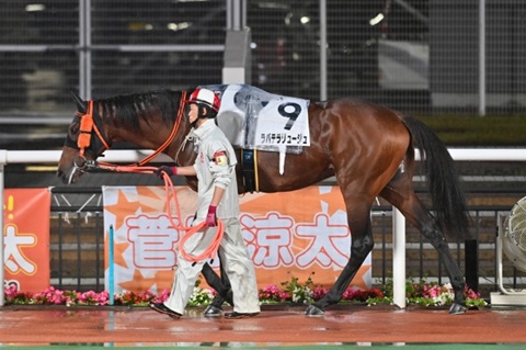 ラバテラリュージュ号