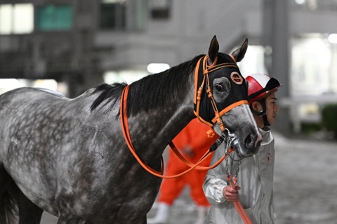 アイミーハイティー号