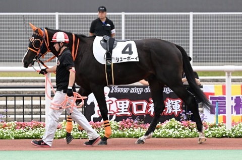 シューボーイ号