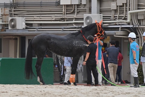 フィールドクラウン号