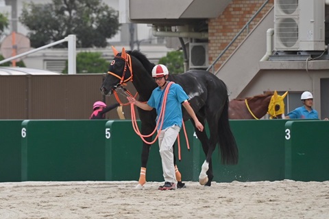 フィールドクラウン号