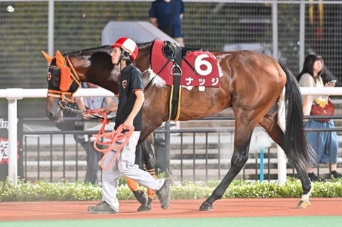 ナッジ号