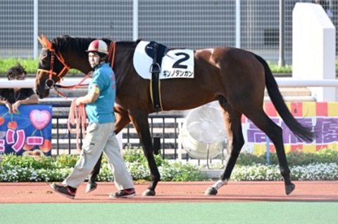 ギンノダンガン号