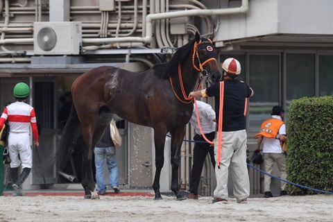 ギンノダンガン号